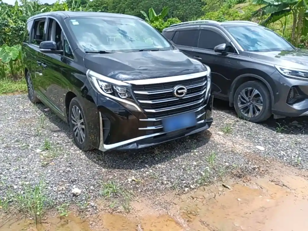 GAC Trumpchi M8 2022 — фото 4