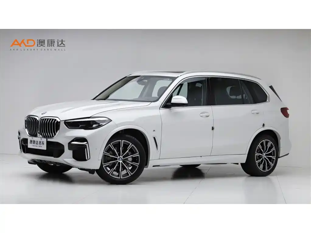 BMW X5 2022