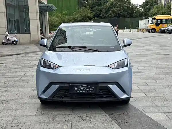 BYD Seagull 2024