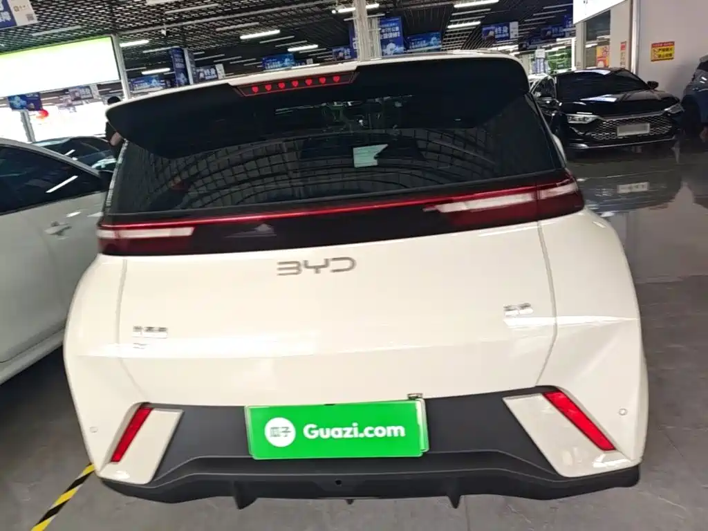 BYD Seagull 2024