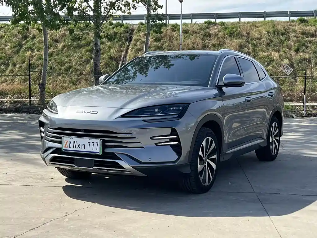 BYD PLUS New Energy 2024 — фото 1