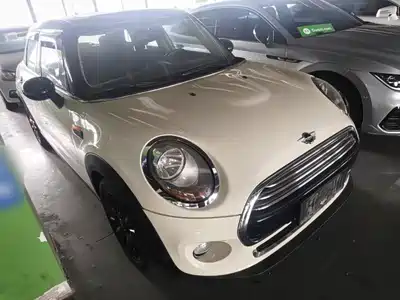 MINI MINI 2017