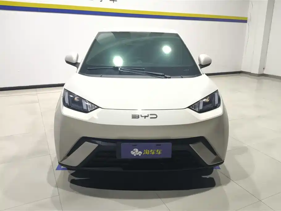 BYD Seagull 2024