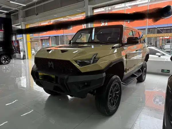 Mengshi 917 2024