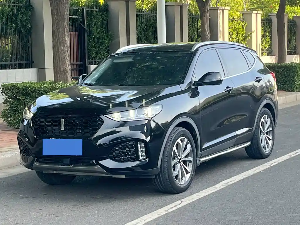 Wey VV6 2018
