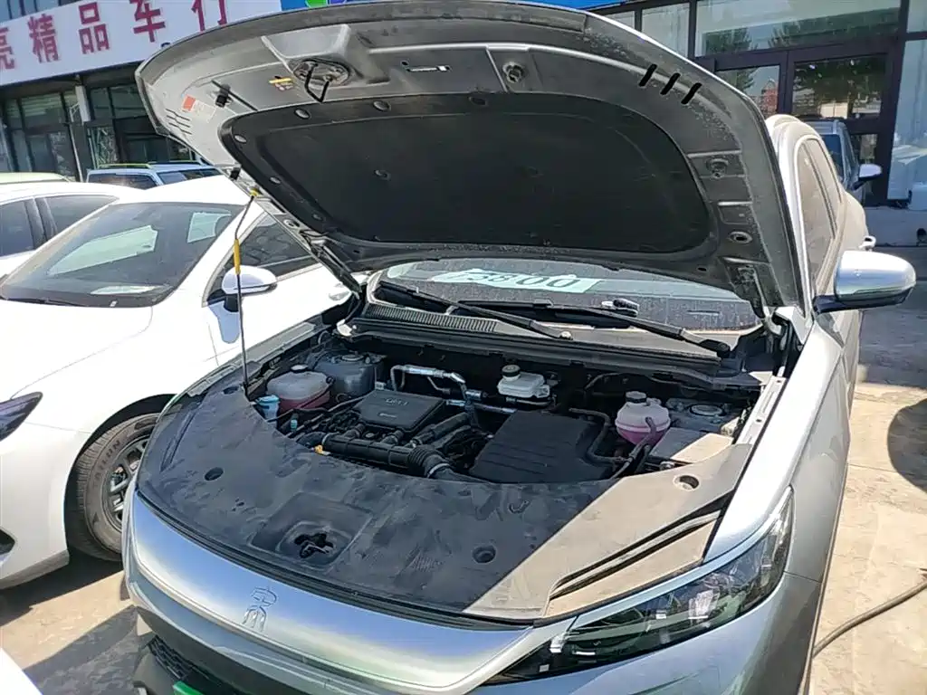 BYD Pro New Energy 2024 — фото 20