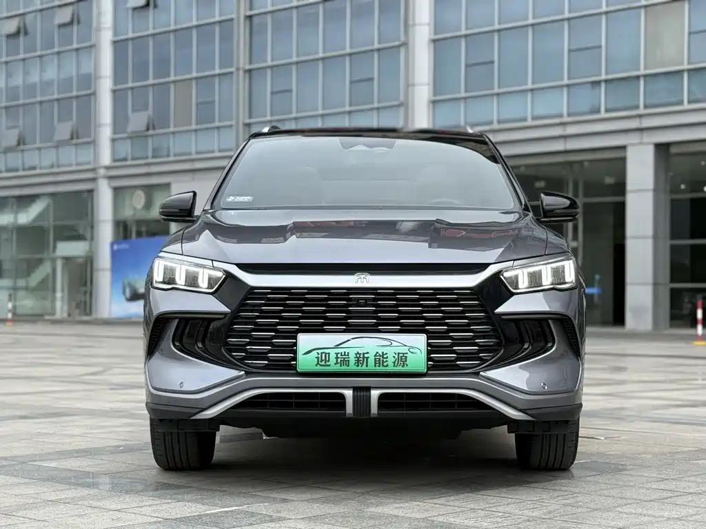 BYD Pro New Energy 2024 — фото 2