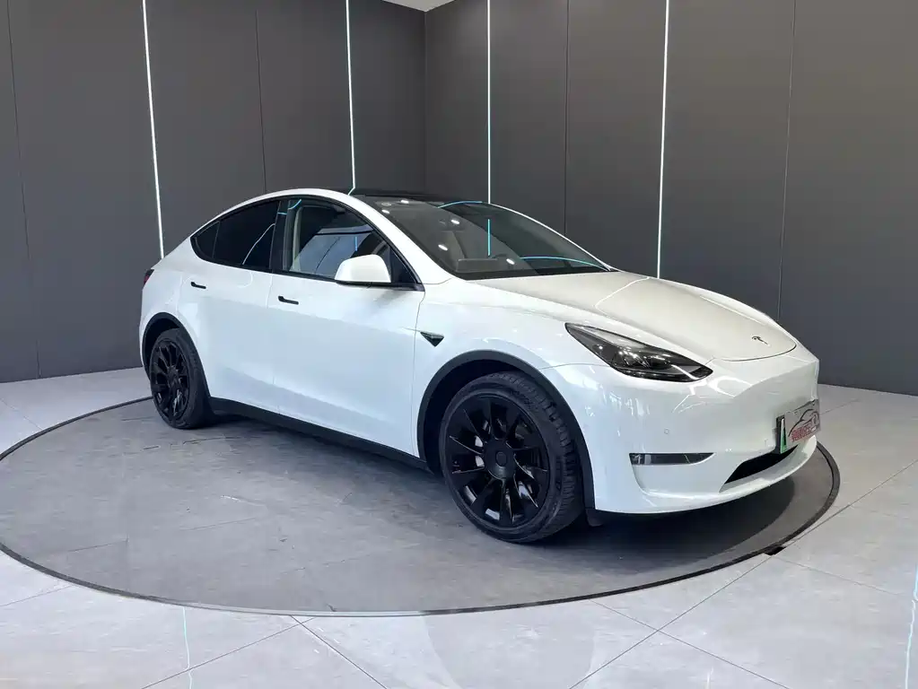 Tesla Model Y 2021 — фото 3