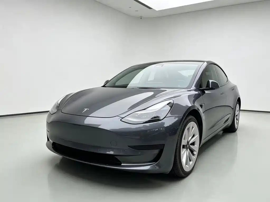 Tesla Model 3 2021 — фото 1
