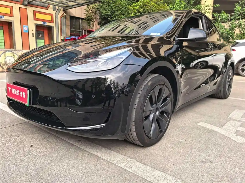 Tesla Model Y 2024 — фото 10