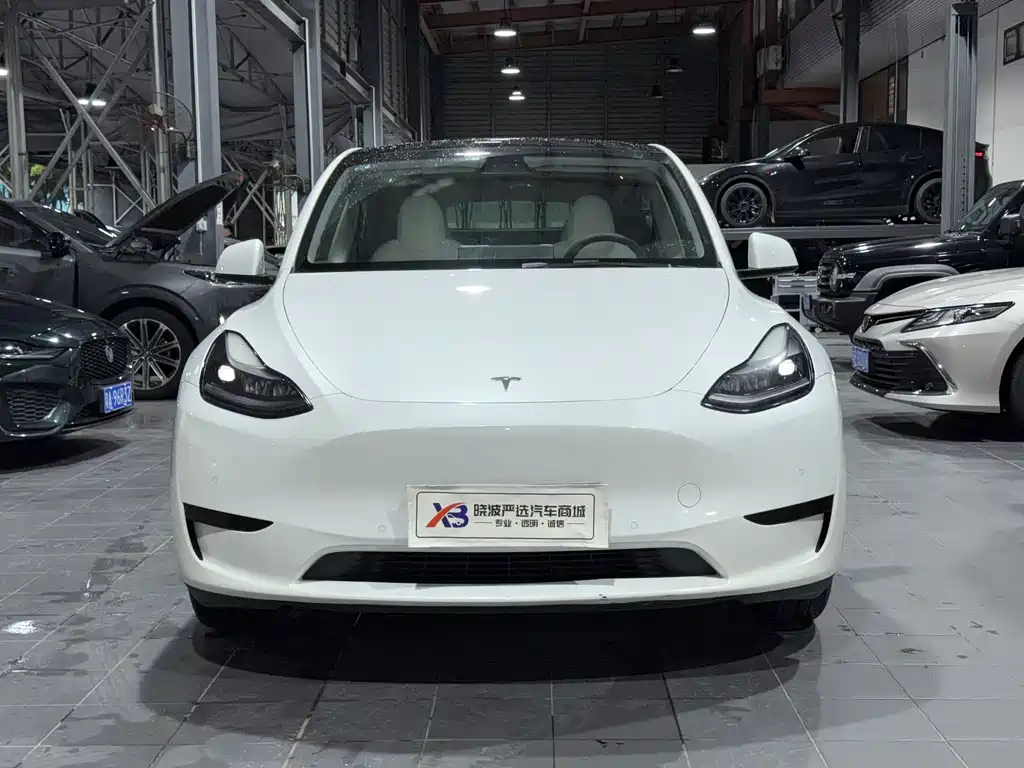 Tesla Model Y 2023 — фото 2