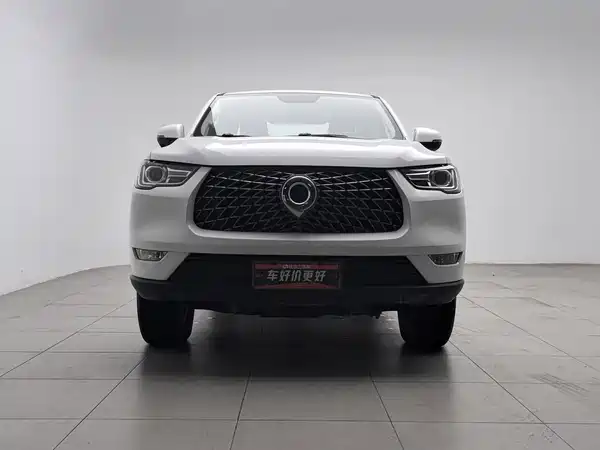 Great Wall Poer 2020