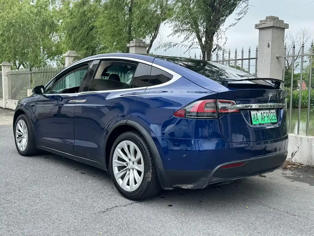 Tesla Model X 2017 — фото 5