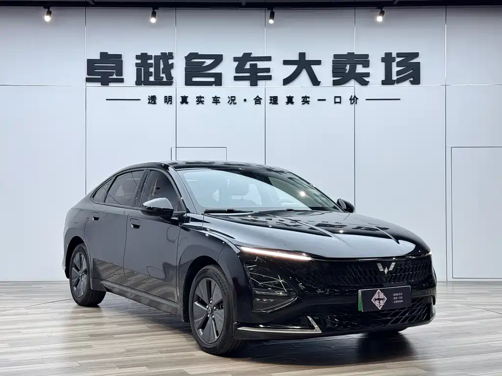 Wuling Xingguang 2024