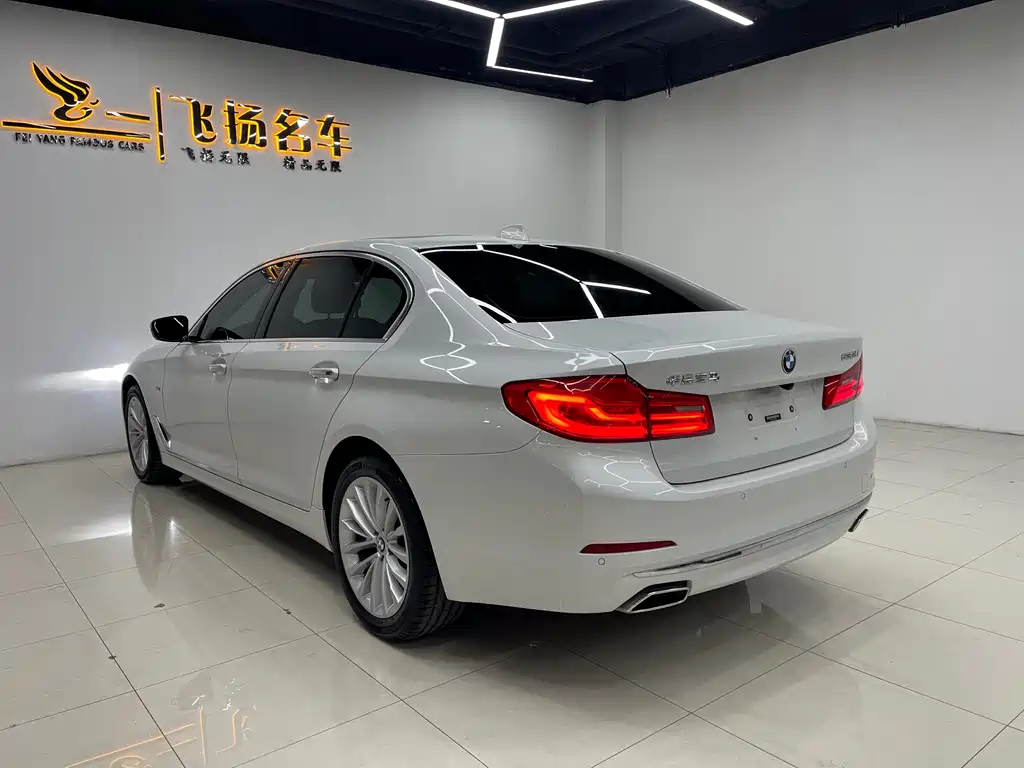 BMW 5 Series 2018 — фото 14