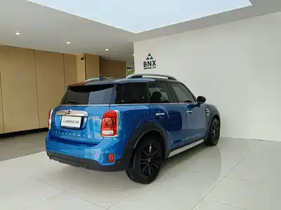 MINI MINI 2019
