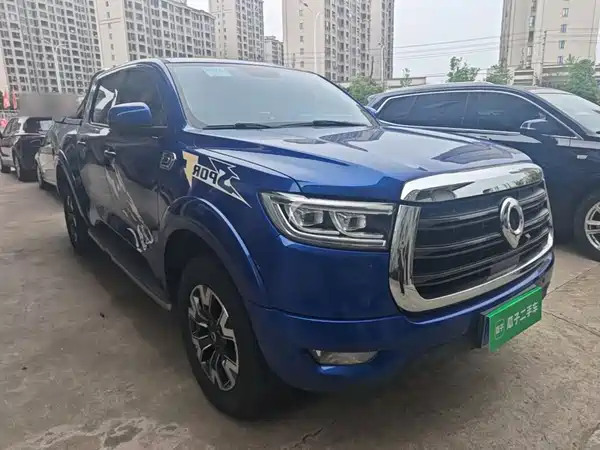 Great Wall Poer 2019