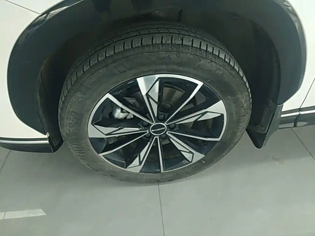 Roewe RX5 New Energy 2024 — фото 25