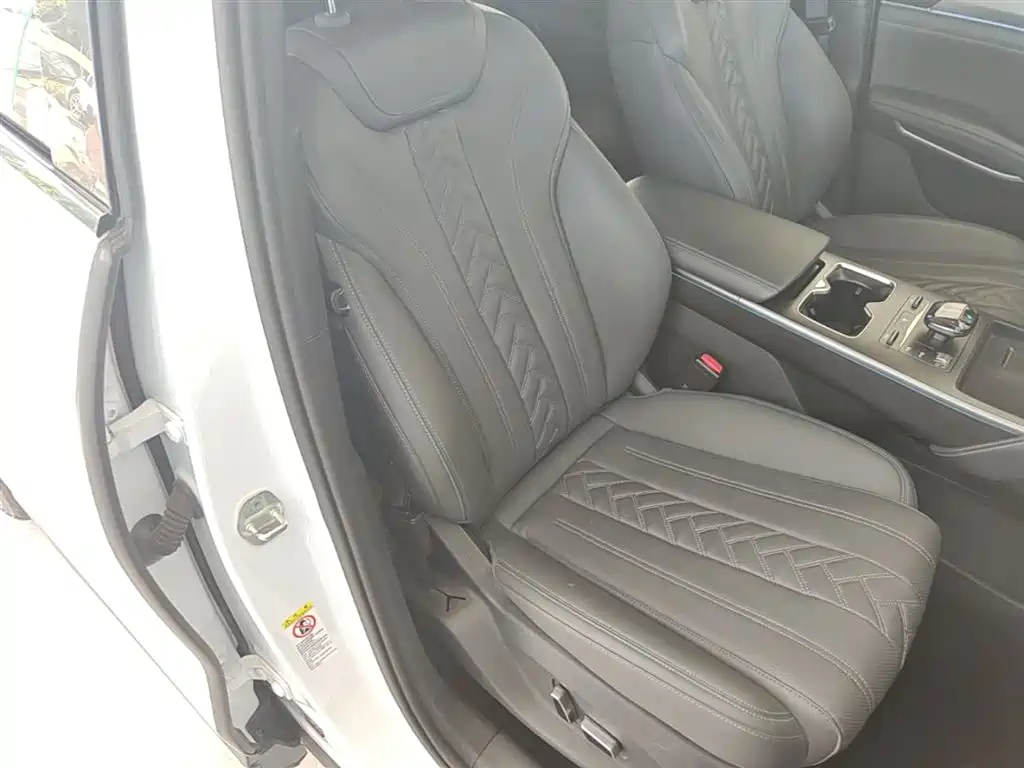 BYD L DM-i 2025 — фото 25