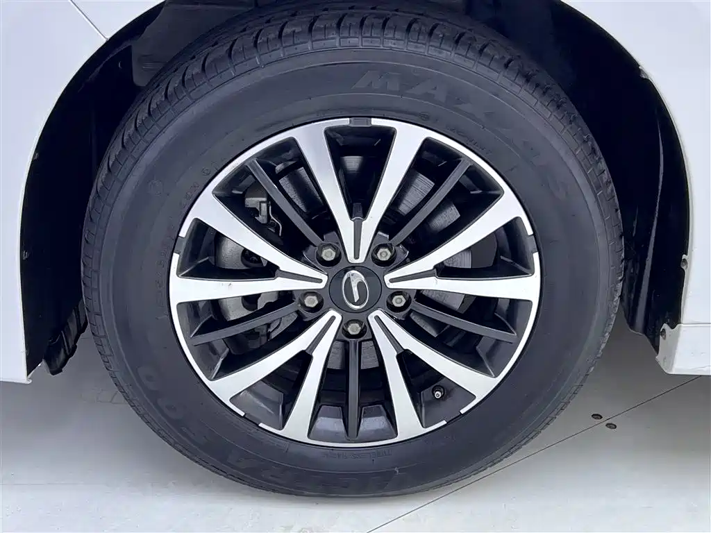 GAC Trumpchi M8 2022 — фото 11