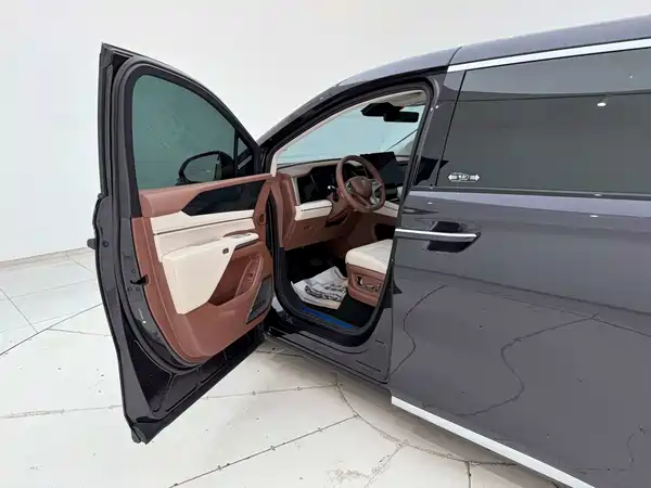 BYD Summer 2025