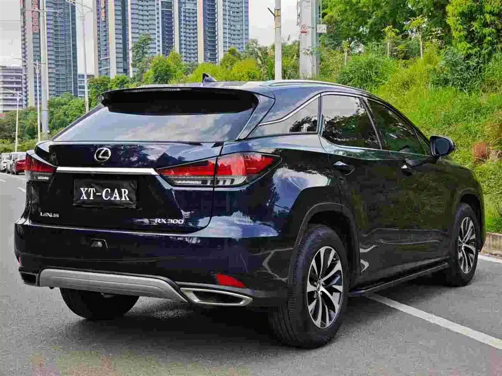 Lexus RX 2022 — фото 7