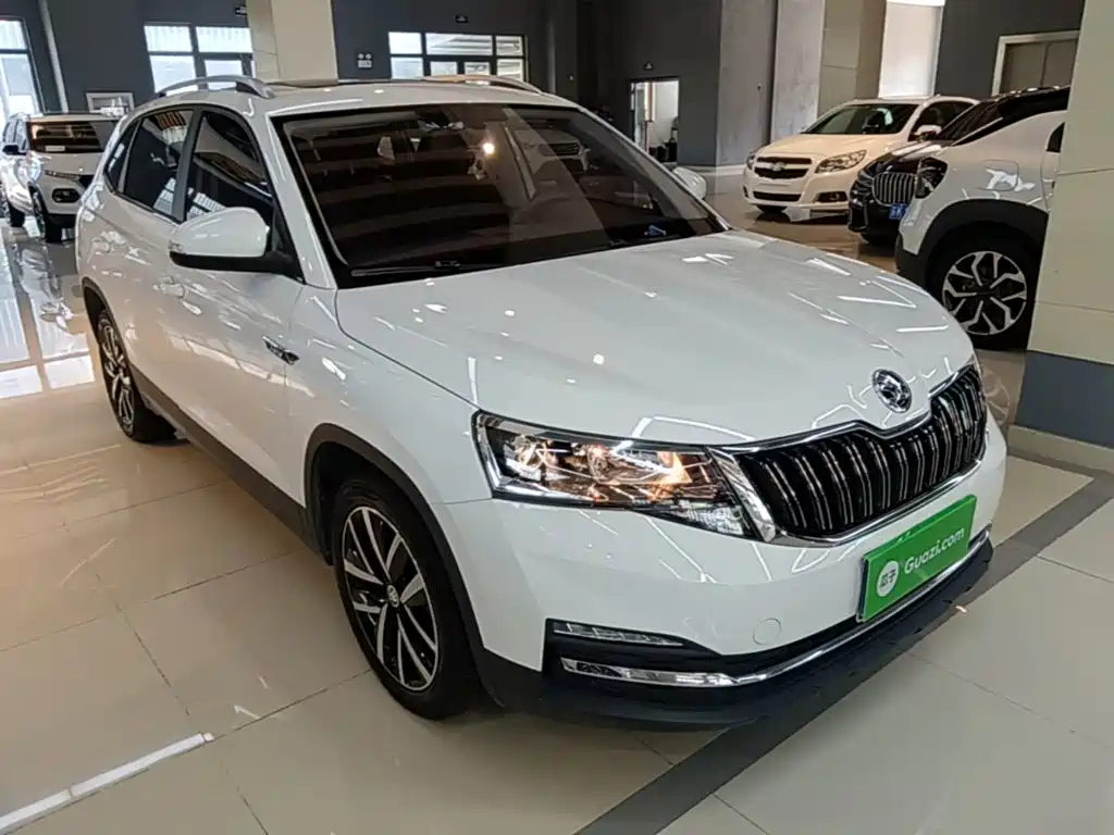 Skoda Kamiq 2021 — фото 4