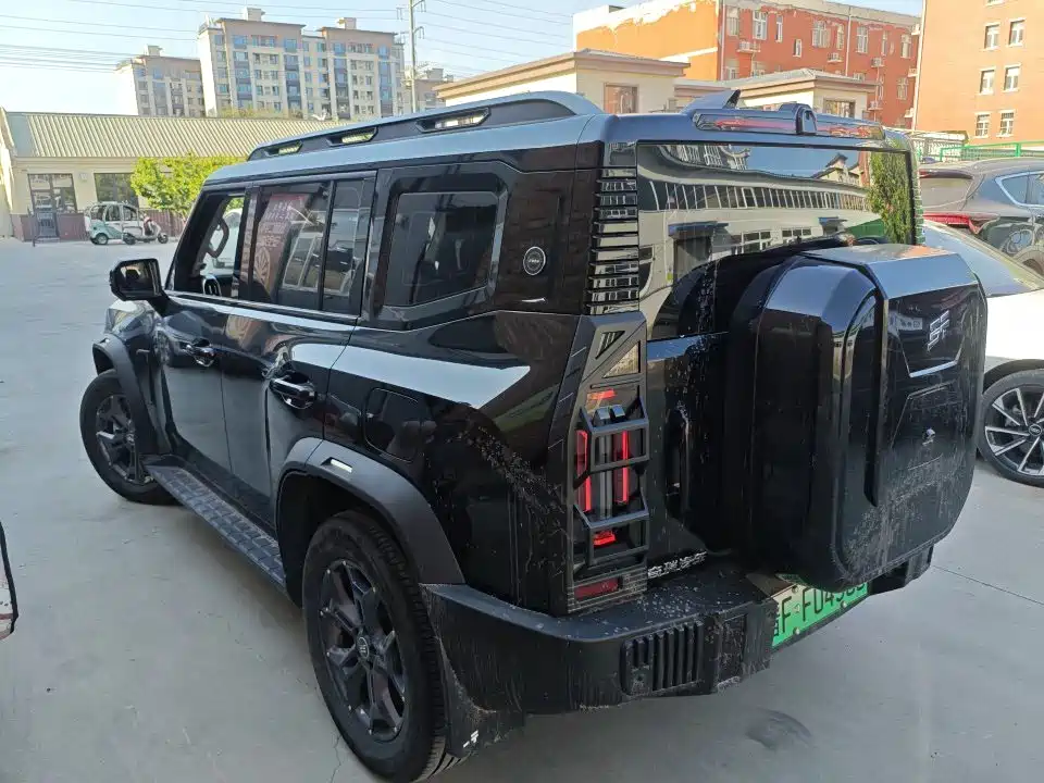 Shanhai Traveller C-DM 2024 — фото 4