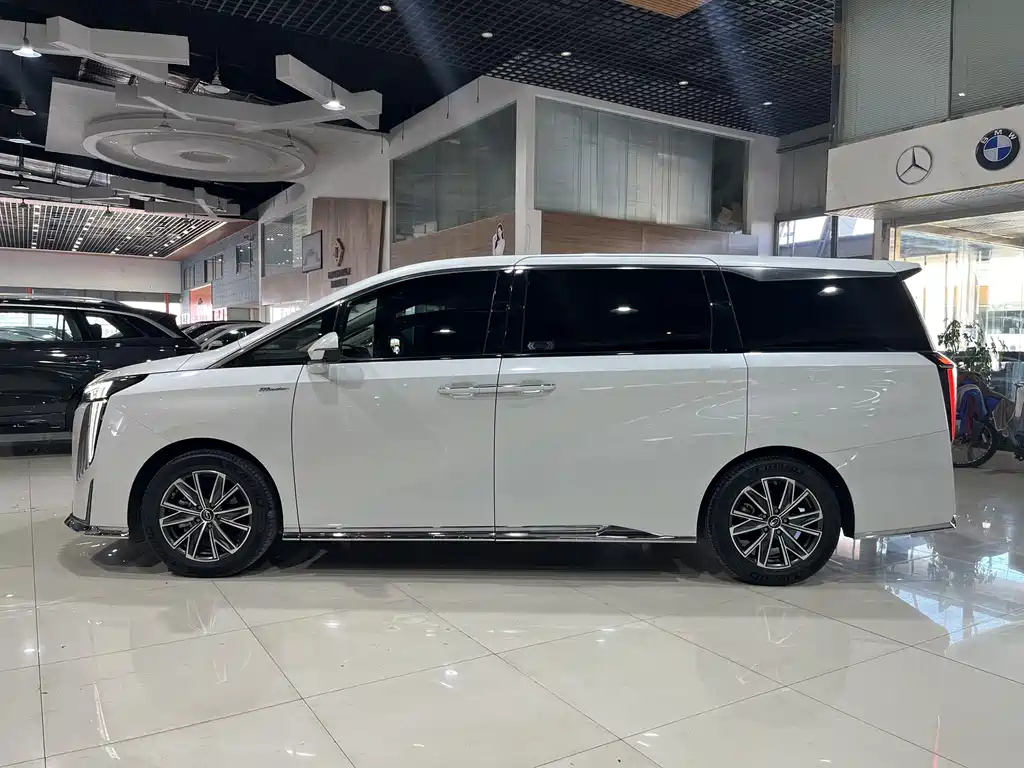 GAC Motor Trumpchi M8 2023 — фото 22