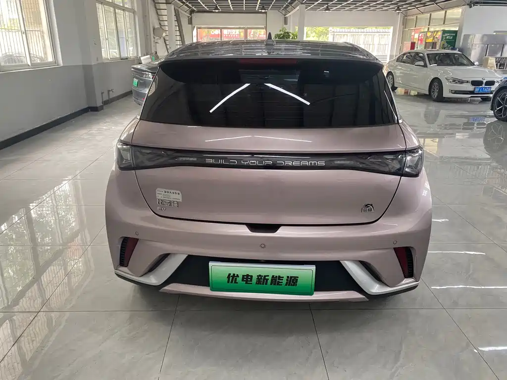 BYD Dolphin 2022