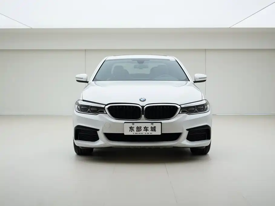 BMW 5 Series 2020