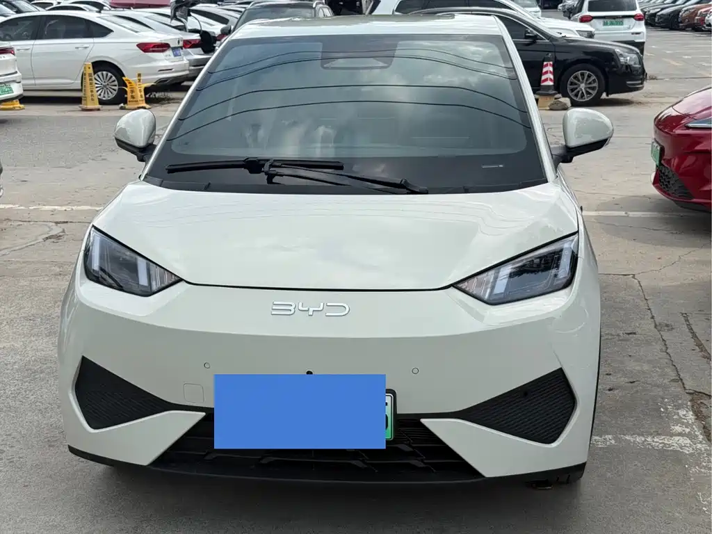 BYD Seagull 2025