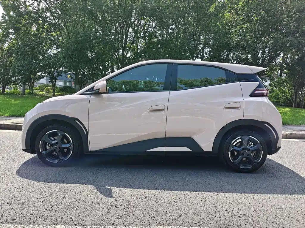BYD Seagull 2024