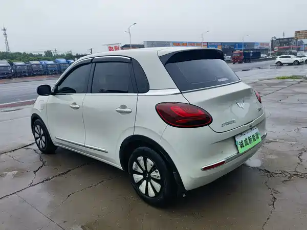 Wuling Bingo 2024