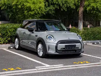 MINI MINI 2022