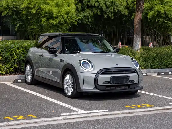 MINI MINI 2022