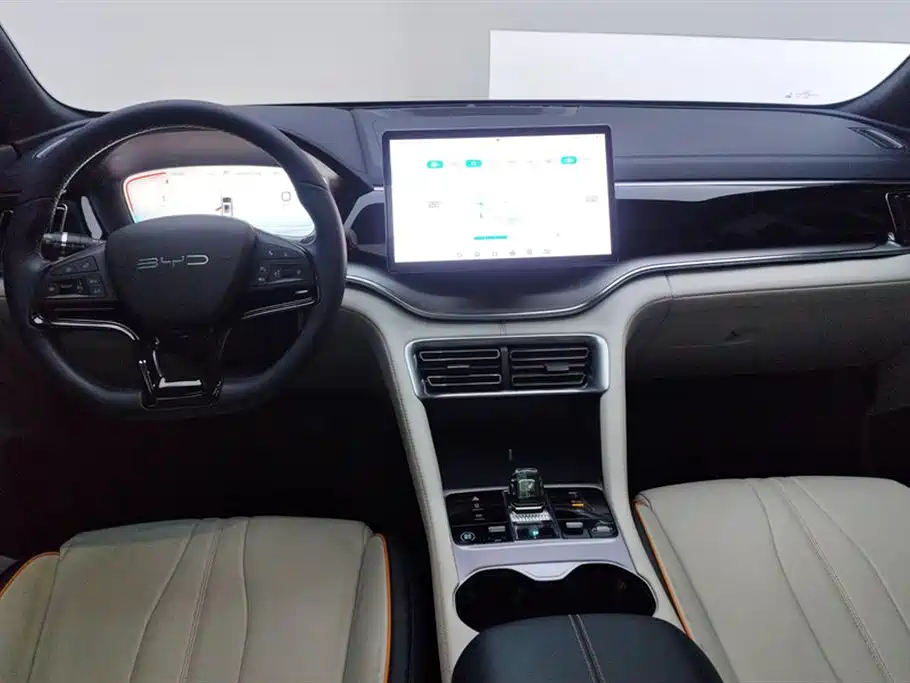 BYD Song PLUS New Energy 2024 — фото 12