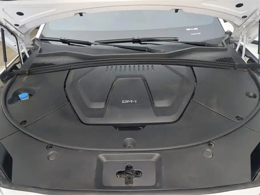 BYD Song PLUS New Energy 2024 — фото 10