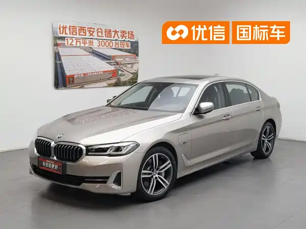 BMW 5 Series New Energy 2021