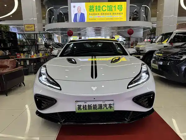 Neta GT 2024