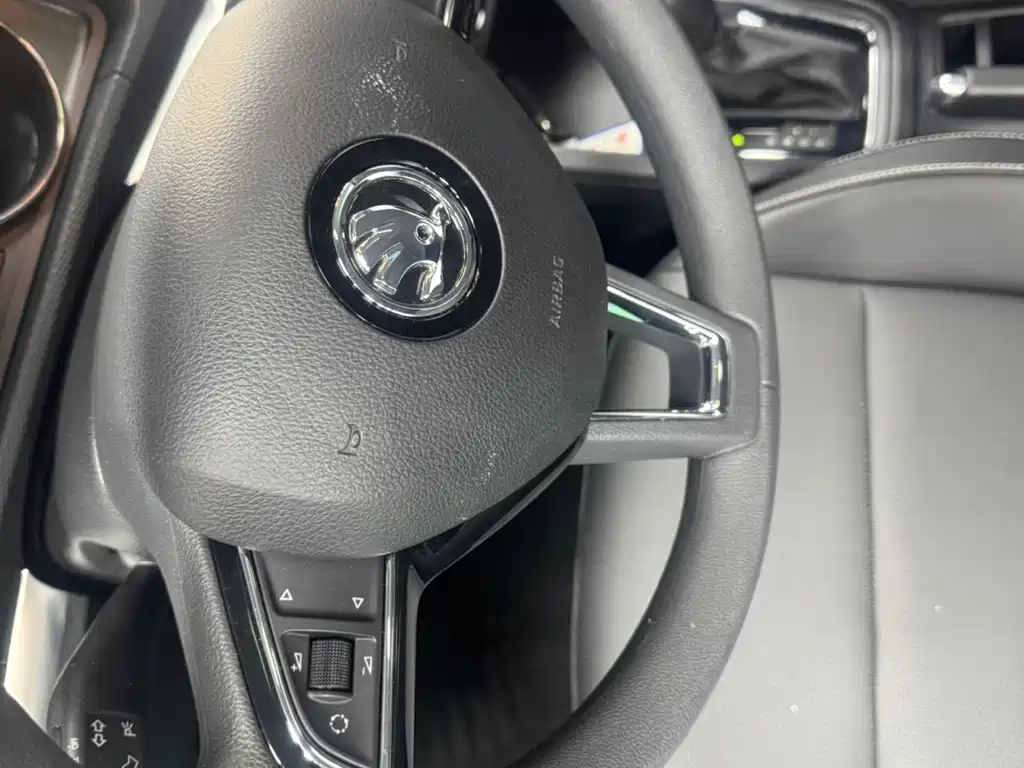 Skoda Kamiq 2021 — фото 19