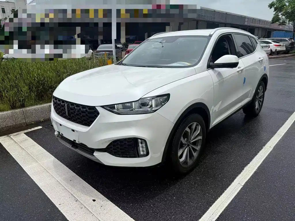 Wey VV6 2019