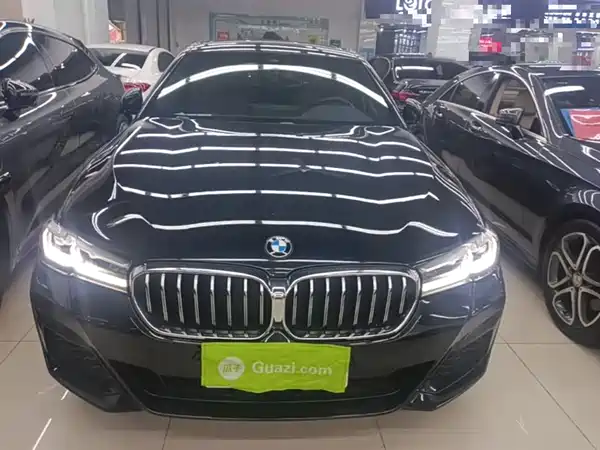 BMW 5 Series New Energy 2021