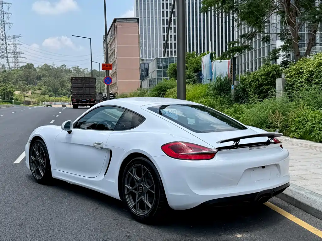 Porsche Cayman 2015 — фото 7