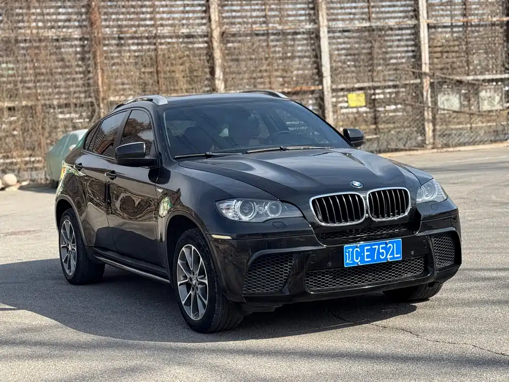 BMW X6 2010 — фото 3