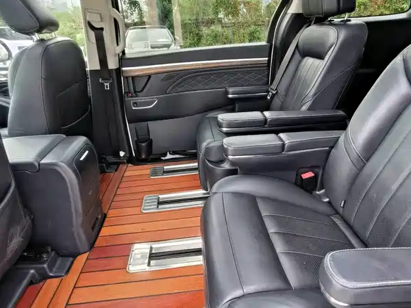 GAC Trumpchi M8 2019