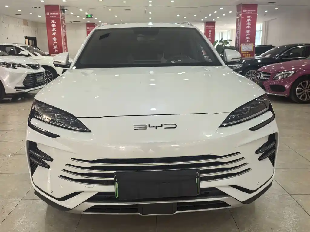 BYD PLUS New Energy 2024 — фото 3