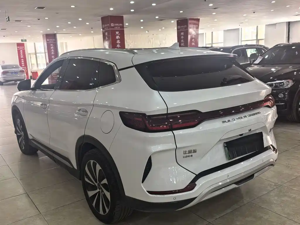 BYD PLUS New Energy 2024 — фото 6