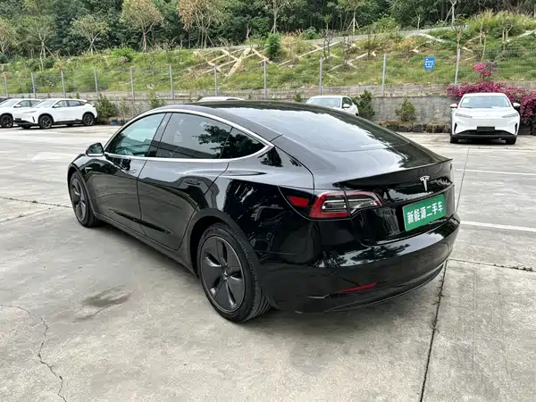 Tesla Model 3 2020