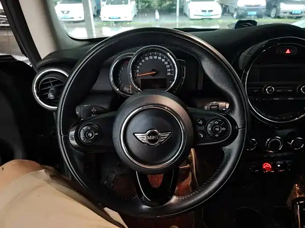 MINI 2018